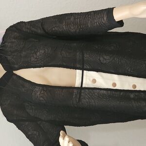 Chic Black Sheer Jacket